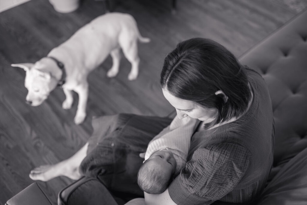 overhead view of mother holding infant in arms, with dog in the background during in-home newborn session