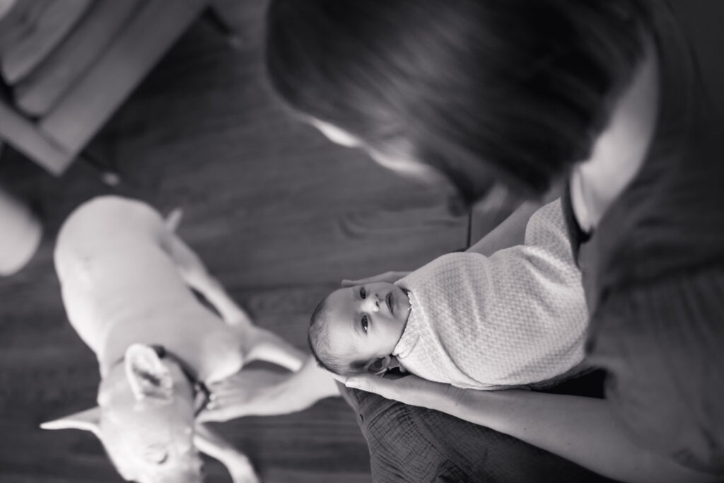 A newborn rests on a parent’s lap while the family dog stands nearby during an in-home family photography session in South Lyon, Michigan.